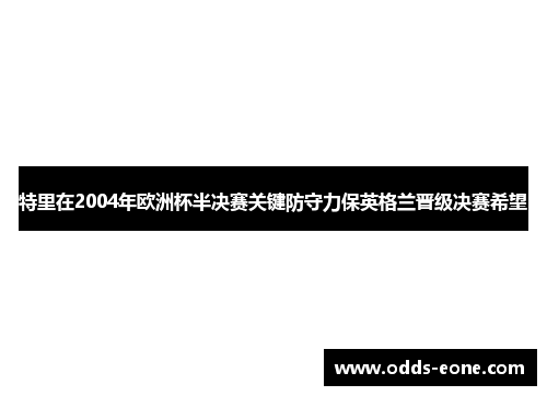 特里在2004年欧洲杯半决赛关键防守力保英格兰晋级决赛希望