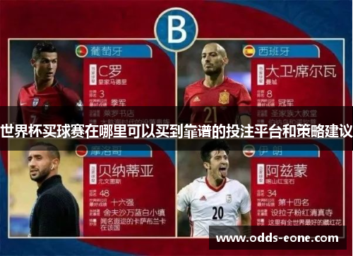 世界杯买球赛在哪里可以买到靠谱的投注平台和策略建议