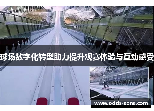 球场数字化转型助力提升观赛体验与互动感受