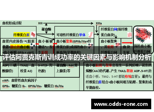 评估阿贾克斯青训成功率的关键因素与影响机制分析