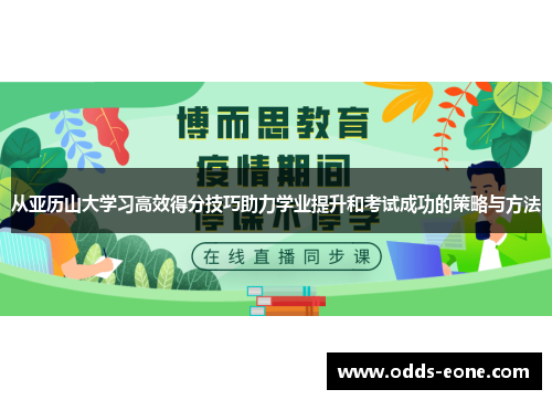 从亚历山大学习高效得分技巧助力学业提升和考试成功的策略与方法