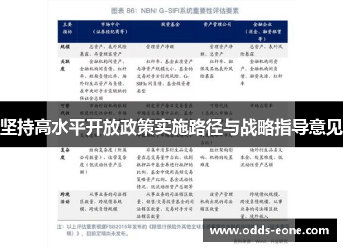 坚持高水平开放政策实施路径与战略指导意见