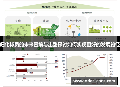 归化球员的未来困境与出路探讨如何实现更好的发展路径