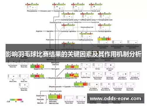 影响羽毛球比赛结果的关键因素及其作用机制分析