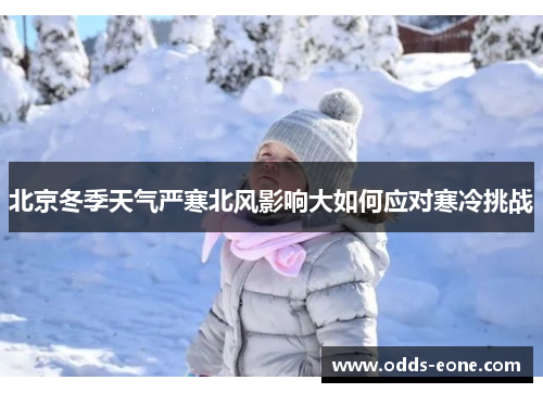 北京冬季天气严寒北风影响大如何应对寒冷挑战