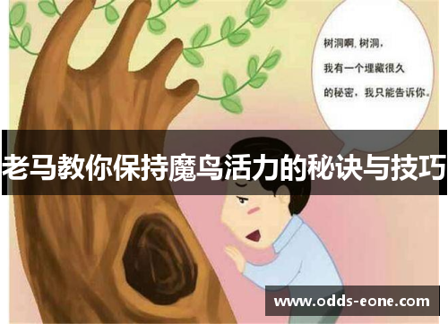 老马教你保持魔鸟活力的秘诀与技巧